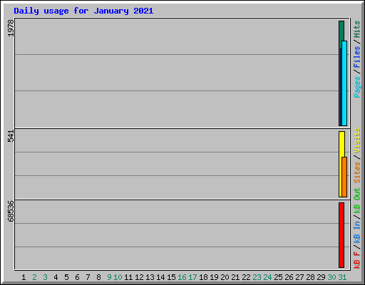 Daily usage for January 2021