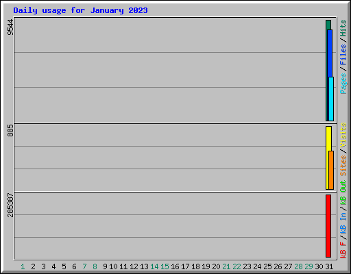 Daily usage for January 2023