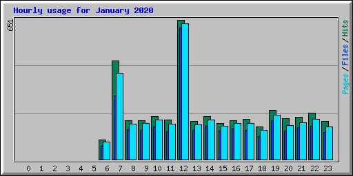 Hourly usage for January 2020