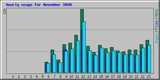 Hourly usage for November 2020