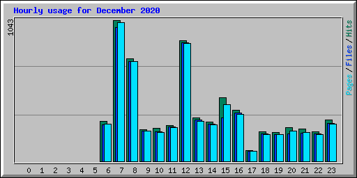 Hourly usage for December 2020