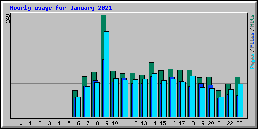 Hourly usage for January 2021