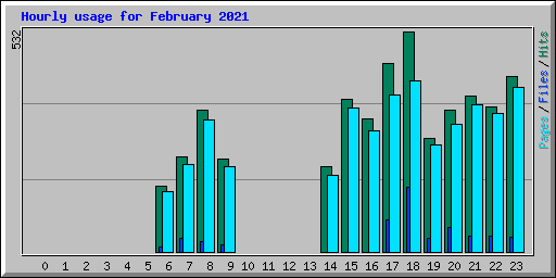 Hourly usage for February 2021