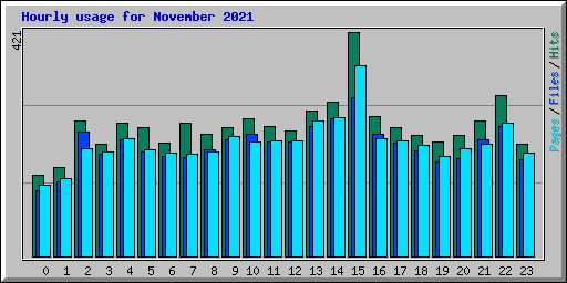 Hourly usage for November 2021