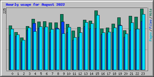 Hourly usage for August 2022