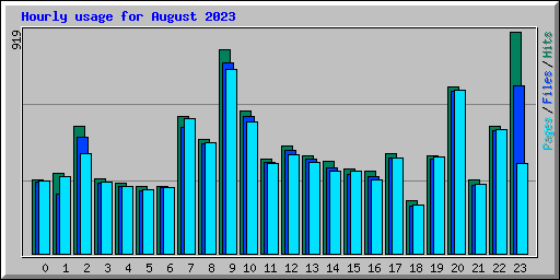 Hourly usage for August 2023