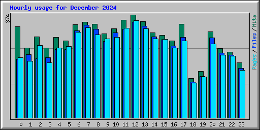Hourly usage for December 2024