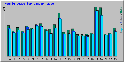 Hourly usage for January 2025