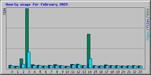 Hourly usage for February 2025