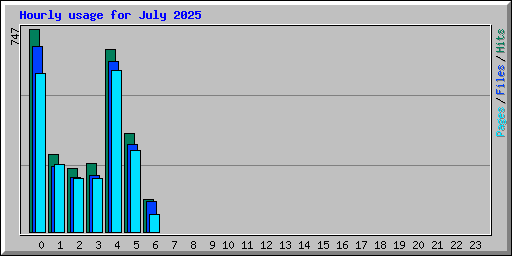 Hourly usage for July 2025